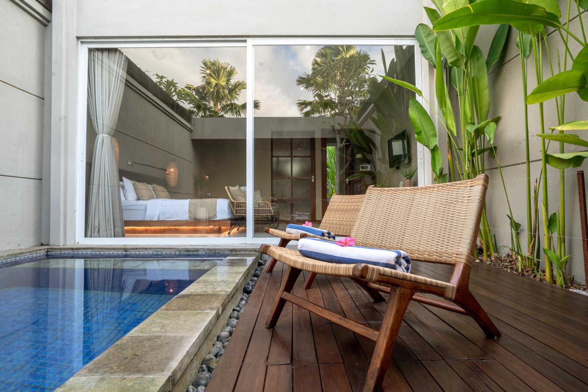 Damarya By Samhita Bali *